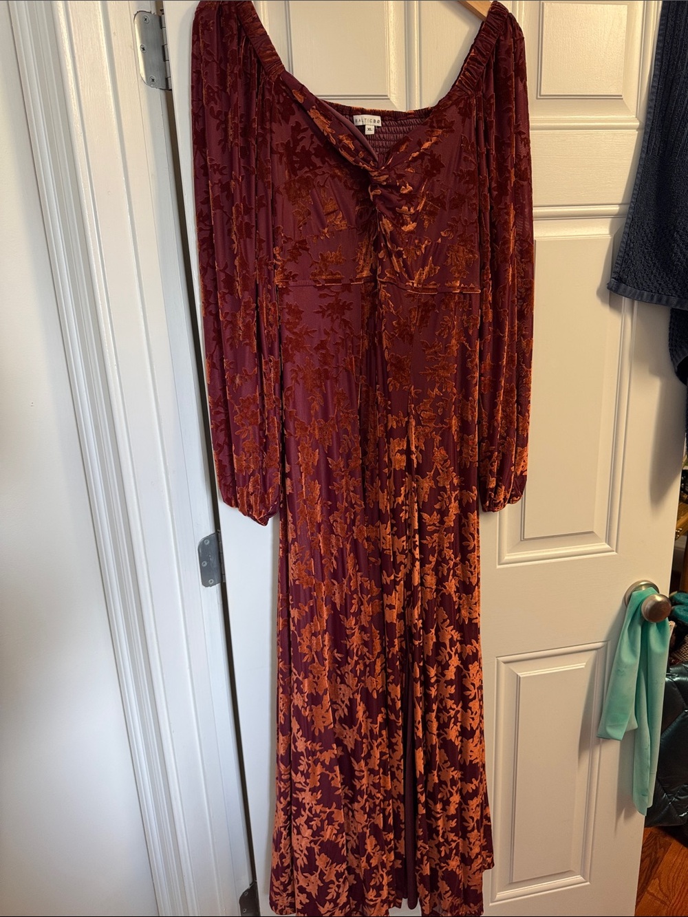 Baltic Born Burgundy and Rust Floral Velvet Maxi Dress